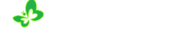 大梦想家Logo